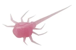 13 Fishing - Coconut Crab - Panfish Plastics 17 13 Fishing - Coconut Crab - Panfish Plastics -Frost Spoons Sales Store CC BG 1 Z 64551.1604078623