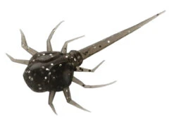 13 Fishing - Coconut Crab - Panfish Plastics