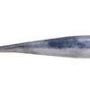 Berkley Gulp Ice - 1 Inch Minnow - GHIMI1-FTHD -Frost Spoons Sales Store GHIMI1 FTHD 79297.1595434013